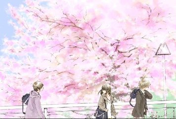 蘑菇gm2视频